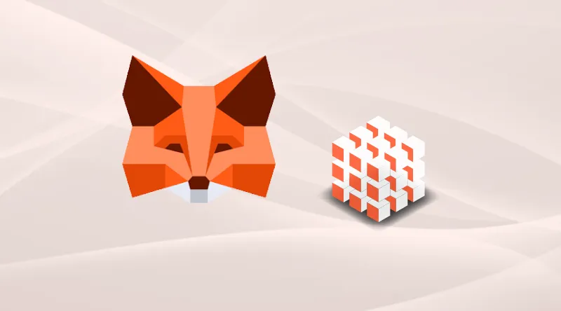 How to Add Different Blockchains to MetaMask?