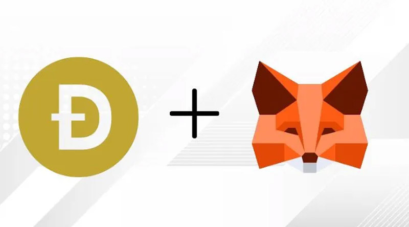 How to Add Dogecoin to MetaMask?